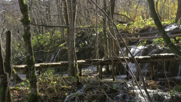 Cascada Forestal Parque Nacional Plitvice — Vídeo de stock