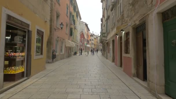 Paved Δρόμο Στην Παλιά Πόλη Του Rovinj — Αρχείο Βίντεο