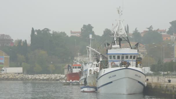 Limanda Balıkçı Tekneleri — Stok video