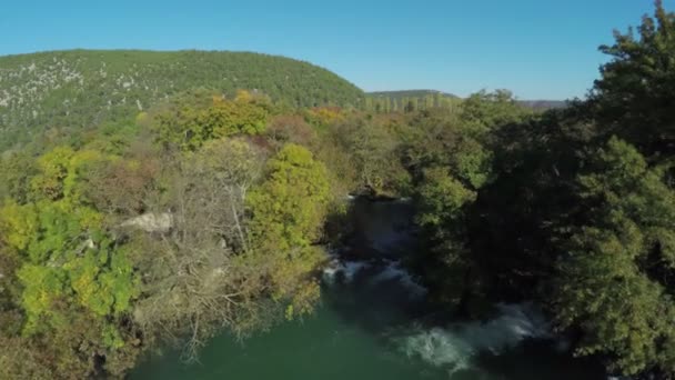 Krka河和森林的空中射击 — 图库视频影像