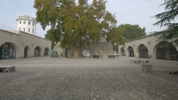 Patio Del Castillo Con Gran Árbol — Vídeos de Stock