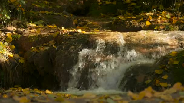 Primavera Bañada Por Sol — Vídeo de stock