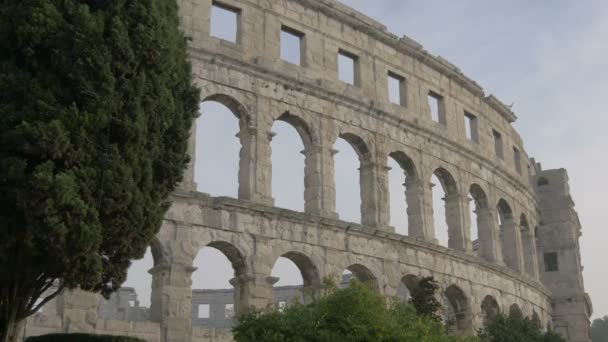 Baum Der Steinmauer Der Arena Von Pula — Stockvideo