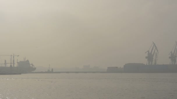 Foggy Day Pula Seaport — Stock Video