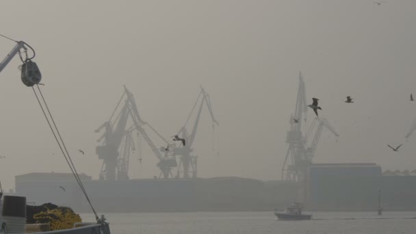 Cargo Cranes Seen Foggy Day — Stock Video
