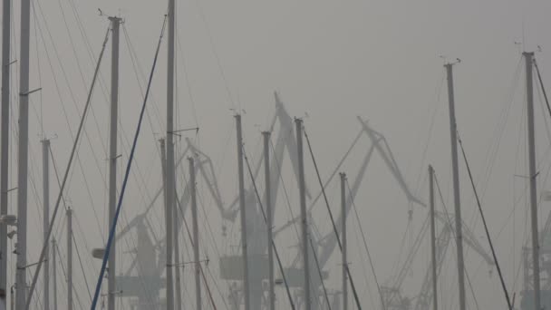 Туманный День Морском Порту Мачтами — стоковое видео