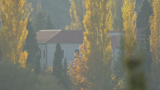 Μονή Δείτε Πίσω Από Λεύκες — Αρχείο Βίντεο