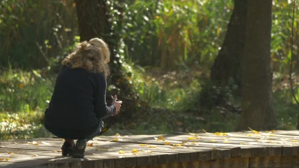 Γυναίκα Που Φωτογραφίζει Πεσμένα Φύλλα — Αρχείο Βίντεο