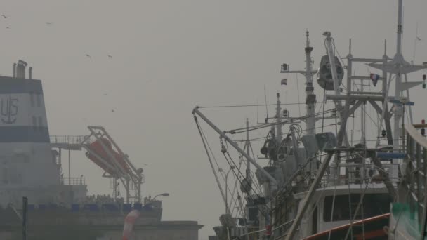 Два Рибальських Човни Порту — стокове відео