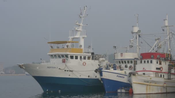 Drie Vissersboten Voor Anker Zeehaven — Stockvideo