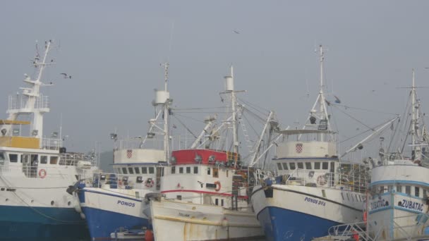 Cinco Barcos Pesca Ancorados Porto — Vídeo de Stock