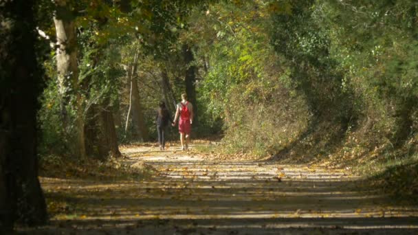 公園を歩いている若い女性の美しいショットです — ストック動画