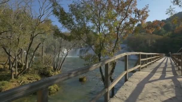 从木桥上看到的瀑布 — 图库视频影像