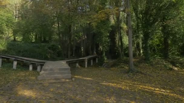 木製の路地と泉が流れる — ストック動画