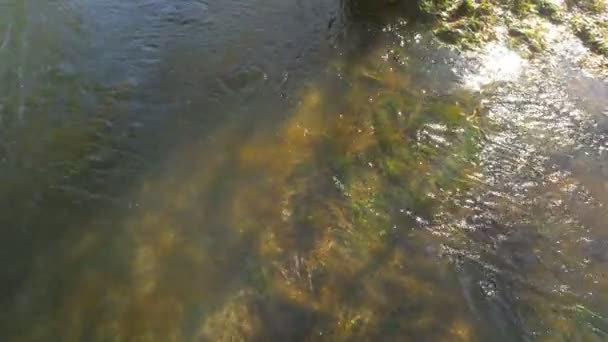 Acqua Che Scorre Nel Parco Nazionale Krka — Video Stock