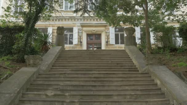 Escaliers Anciens Avec Pots Fleurs — Video