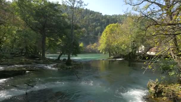 Ποτάμια Που Ρέουν Λιμνοθάλασσα — Αρχείο Βίντεο