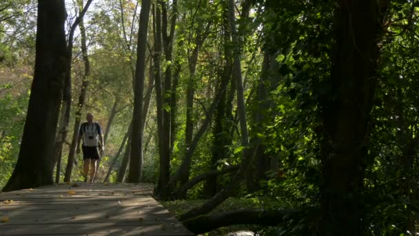 Uomo Piedi Nel Parco Nazionale Krka — Video Stock