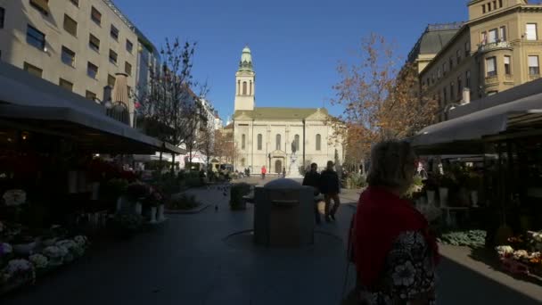 Życie Mieście Placu — Wideo stockowe