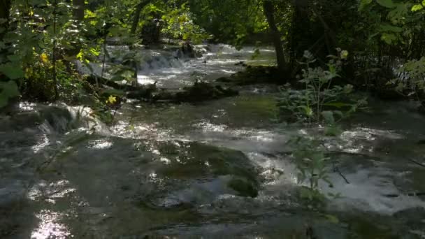 Vista Cercana Del Río Krka Que Fluye — Vídeos de Stock