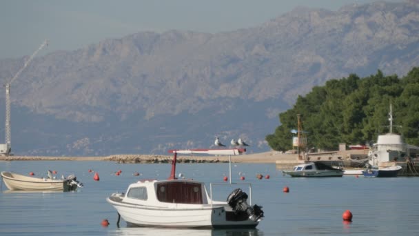 Barcos Flutuando Mar — Vídeo de Stock