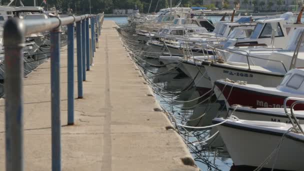 Barcos Atados Junto Muelle — Vídeo de stock
