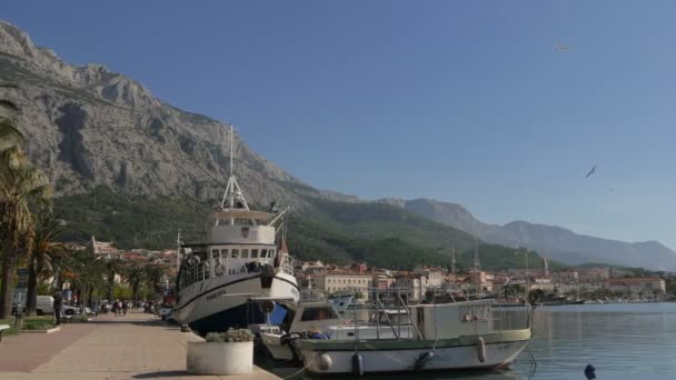 Makarska Kust Zeehaven — Stockvideo