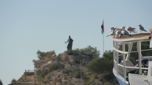 Gaviotas Pie Barco — Vídeo de stock