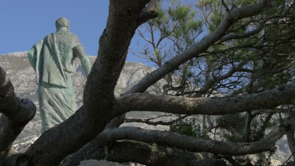 Estatua San Pedro Vista Través Ramas Árboles — Vídeos de Stock