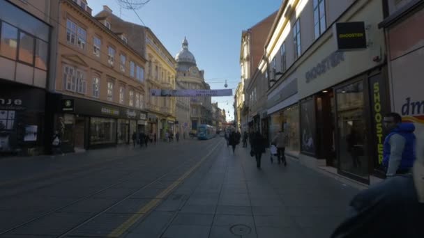 Verkehr Auf Einer Belebten Einkaufsstraße — Stockvideo