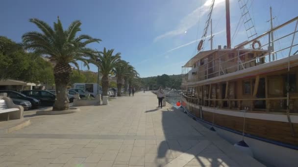 Makarska Seafront Palm Trees Boat — Stock Video
