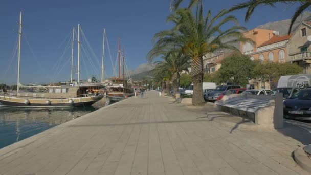 Seafront Boats Palm Trees — Stock Video