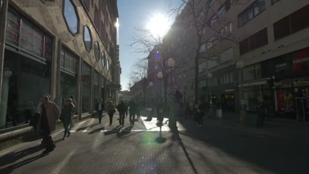 Mensen Die Een Winkelstraat Lopen — Stockvideo