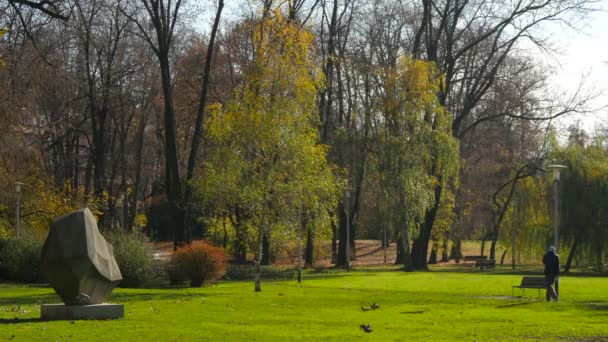 Ein Mann Mit Hund Einem Park — Stockvideo