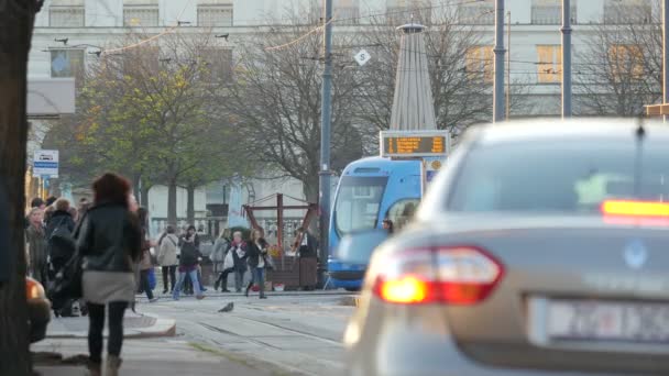 Menschen Auf Einer Straße Der Stadt — Stockvideo