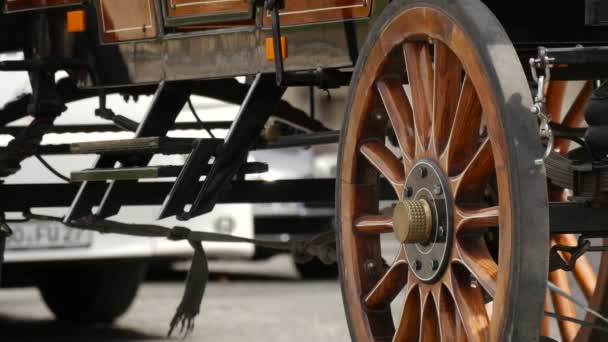 Gros Plan Roue Une Calèche — Video