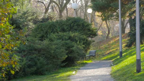 Une Ruelle Dans Parc — Video