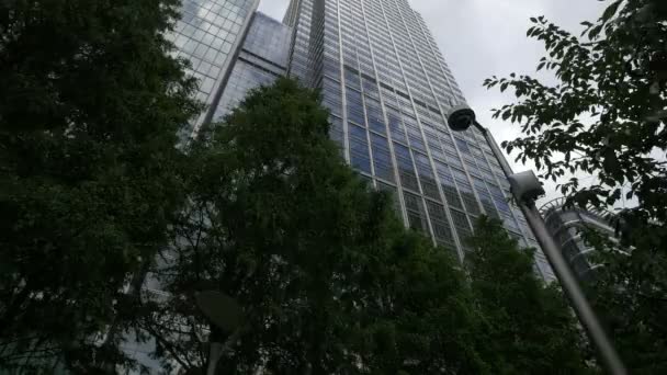 Lage Hoek Van Glazen Gebouwen Canary Wharf — Stockvideo