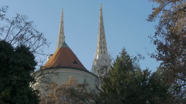 萨格勒布大教堂的塔在树后 — 图库视频影像