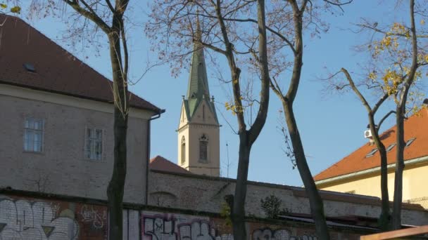 Bomen Bij Een Kerktoren — Stockvideo