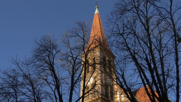 Una Torre Iglesia Vista Detrás Ramas Árboles — Vídeo de stock