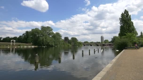 Hyde Park Londra Daki Yılan Gölü — Stok video