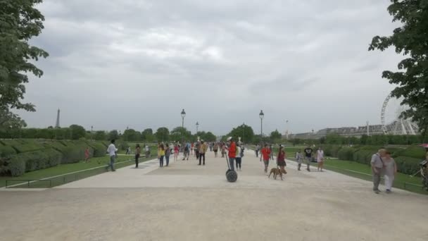 Toeristen Wandelen Foto Maken Tuileries Garden — Stockvideo