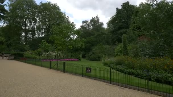 ケンジントン ガーデンズに木と花 — ストック動画