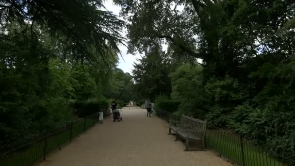 Gassen Mit Bänken Kensington Gardens — Stockvideo