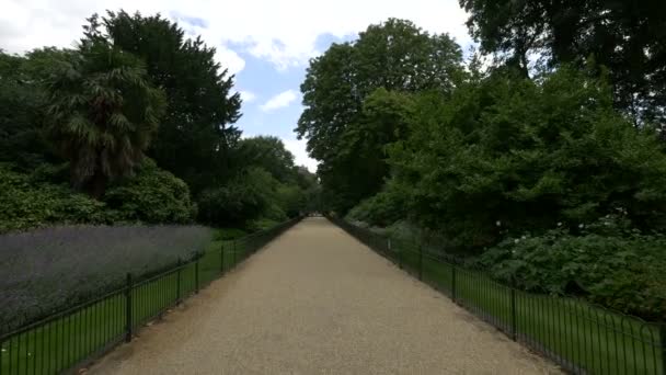 ロンドンのケンジントン ガーデンズに路地 — ストック動画