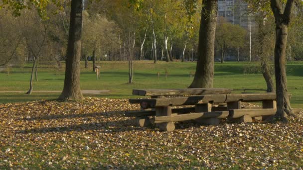 公园里的木制长椅和桌子 — 图库视频影像