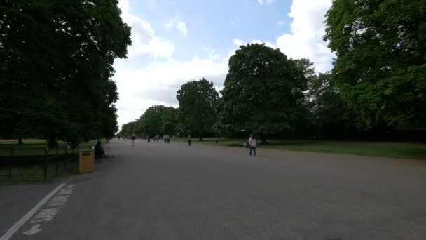 Hyde Park Taki Sokak Londra — Stok video