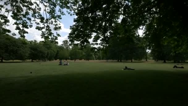 Люди Отдыхающие Гайд Парке — стоковое видео