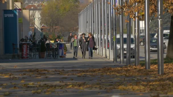 Mensen Die Stoep Lopen — Stockvideo